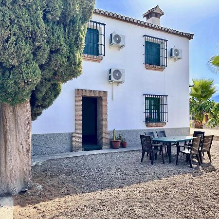 Encantador Cortijo La Emiliana A 5 Minutos Del Centro Churriana de la Vega Exteriör bild
