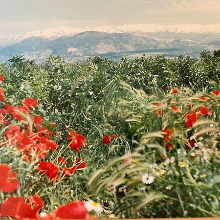 Encantador Cortijo La Emiliana A 5 Minutos Del Centro Churriana de la Vega Exteriör bild